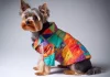 Trajes anti ansiedad para mascotas ¿Será que funcionan? La ansiedad en perros y gatos