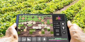 Irán impulsa la agricultura inteligente usando menos agua