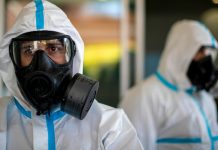 Alerta en España por primer brote de peste porcina africana en 30 años