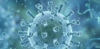 Colombia: Detectan primer caso de nueva variante de influenza H3N2