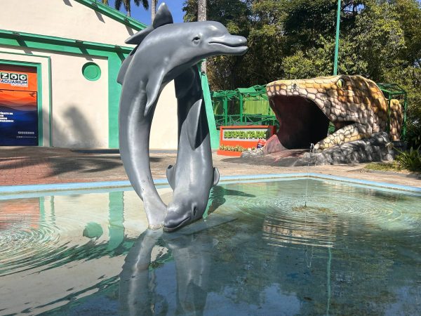 El Acuario de Valencia cumple 50 años