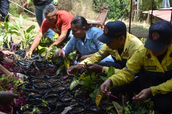 Viveristas y semilleristas venezolanos