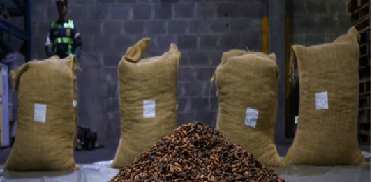 Cacao