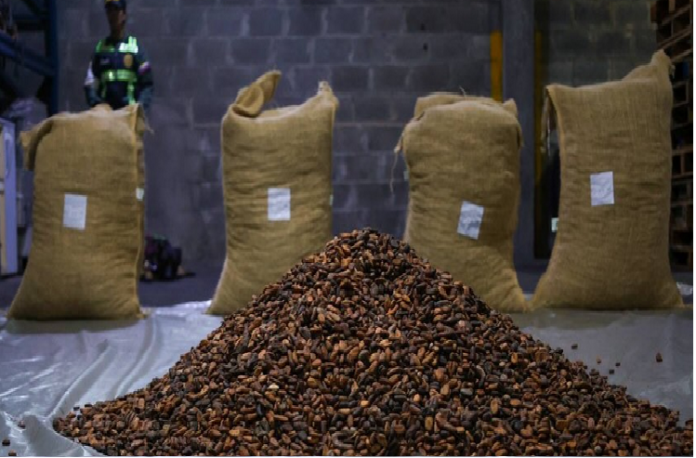 Cacao Cacao