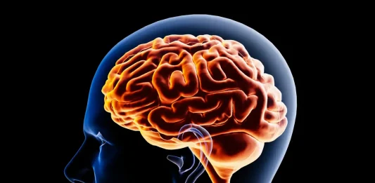 Ausencia de este nutriente puede causar estrés y ansiedad