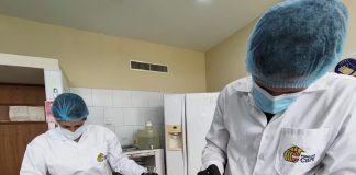 ciepe promuve el uso del propóleo de abejas