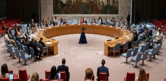 El Consejo de Seguridad de la ONU