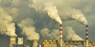 contaminación-la plaga humana