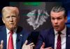 Trump y Hegseth