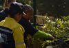 Ecosocialistas rechazan las verdaderas intenciones de EEUU contra Venezuela Ecosocialistas