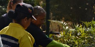 Ecosocialistas