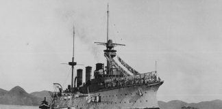 La planta insolente | Ángel Omar García González La planta insolente