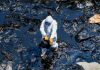 Pescadores de Perú exigen a Repsol indemnizaciones tras derrame petrolero Pescadores de Perú