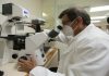 Ciencia venezolana avanza en estudios de células madre