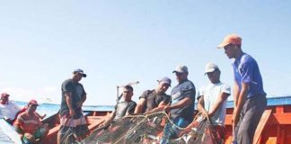 Ministerio de Pesca y Acuicultura informa que la veda de la sardina se extendera has marzo