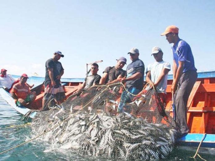 pescadores-1 Ministerio de Pesca y Acuicultura informa que la veda de la sardina se extendera has marzo