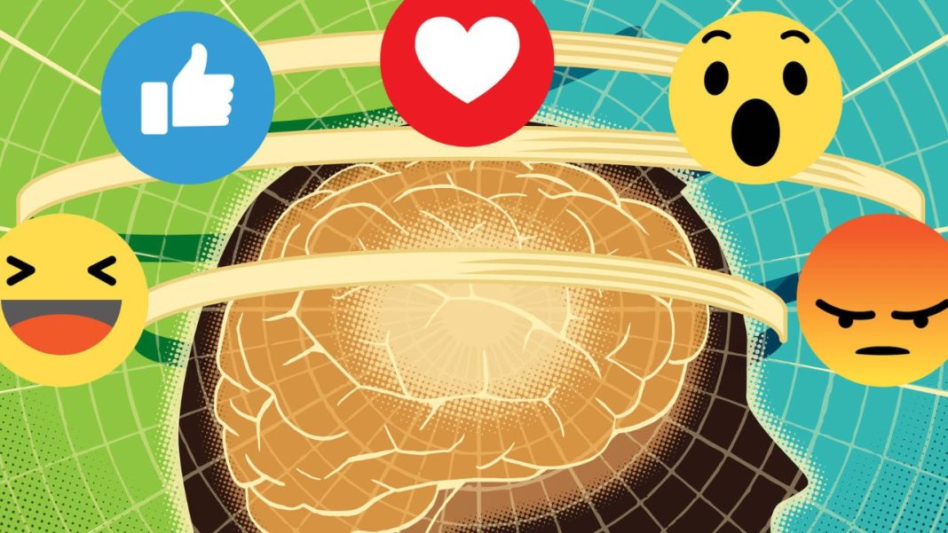 Redes Sociales afectan al cerebro