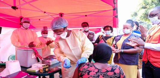 vacunas-ebola-filovirus