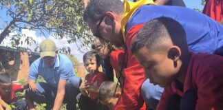 mil plantas sembradas