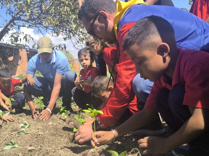 1 - 2026-01-31T101550.883 mil plantas sembradas