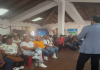 Movimientos Ecosocialistas proponen creación de viveros comunales cafeteros en Carabobo Movimientos Ecosocialistas proponen la creación de viveros comunales cafeteros en Carabobo