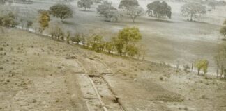 Los Cerritos de Los Guayos