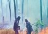 Carabobo: Declaran cierre temporal del Cerro El Café por incendio forestal Carabobo: Declaran cierre temporal del Cerro El Café por incendio forestal