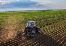 Sector agrícola creció 8,6% en 2025