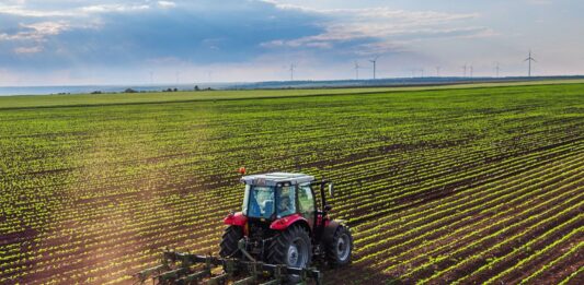 Sector agrícola creció 8,6% en 2025