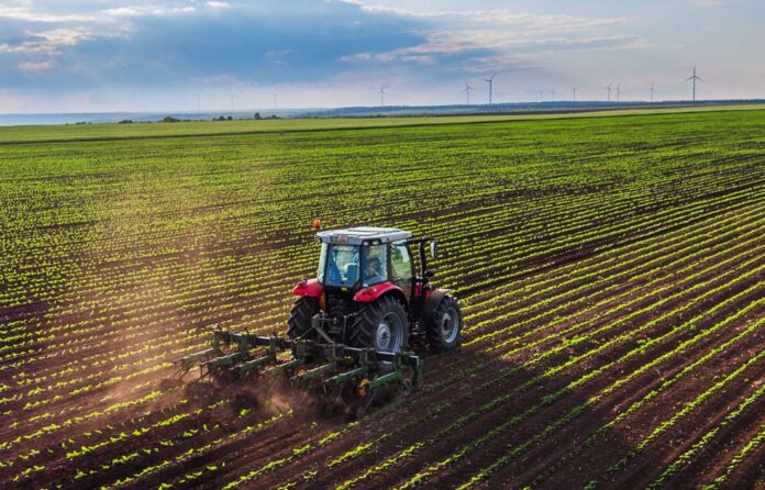 Sector agrícola creció 8,6% en 2025