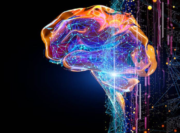 cerebro