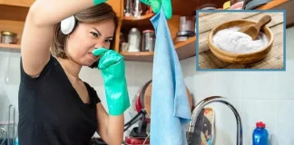 Trapos de la cocina