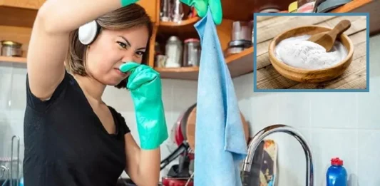 Trapos de la cocina