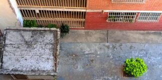 viaje sin retorno-Carmen Pacheco-Crónicas del peatón