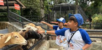 programa zooeducativo