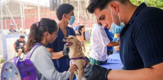 Campaña de Vacunación canina