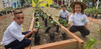 U.E. Batalla de Bomboná en Naguanagua siembra plántulas de café y cacao