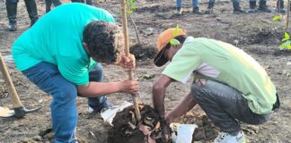 Guacara celebra sus 332 años con la siembra de más de 300 árboles