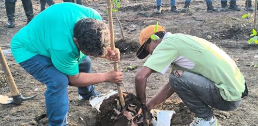 Guacara celebra sus 332 años con la siembra de más de 300 árboles