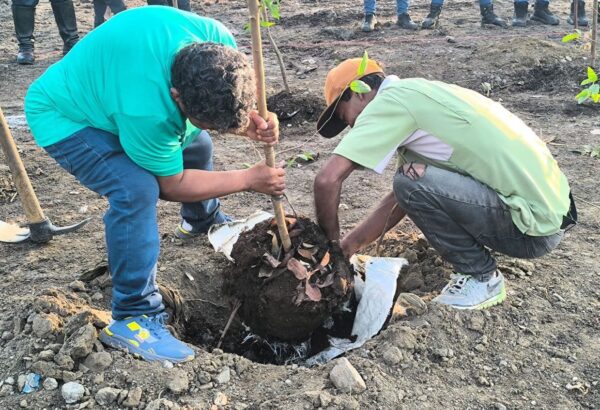 Guacara celebra sus 332 años con la siembra de más de 300 árboles 