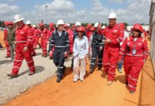 trabajadores empresas mixtas