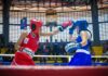 Conoce el calendario competitivo de nuestro boxeo venezolano 2026 El Boxeo venezolano