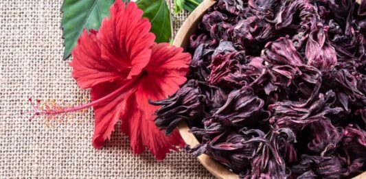 Beneficios de la flor de jamaica