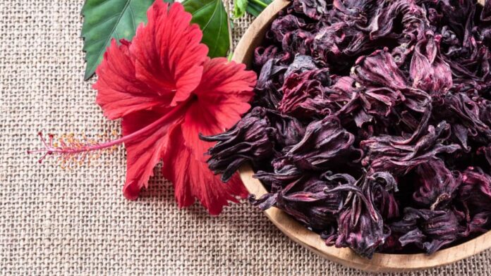 Beneficios de la flor de jamaica Beneficios de la flor de jamaica