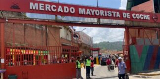 Mercado Mayorista de Coche