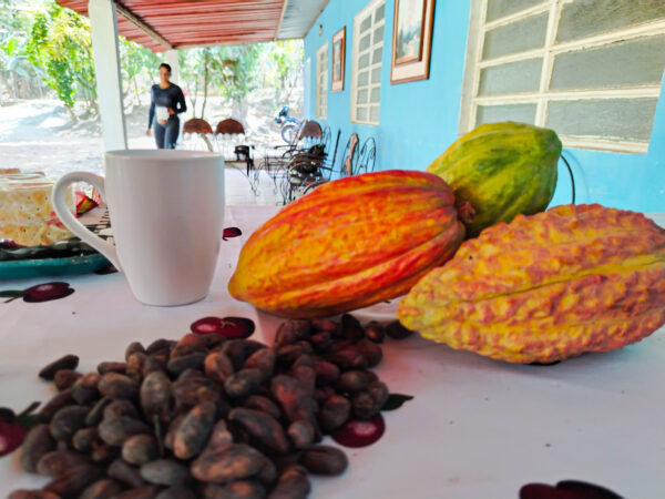 Hacienda Maita