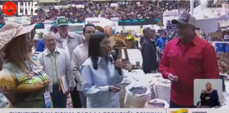 Plan de Sustitución Estratégica de Importación de maíz,