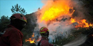 Un incendio de vegetación