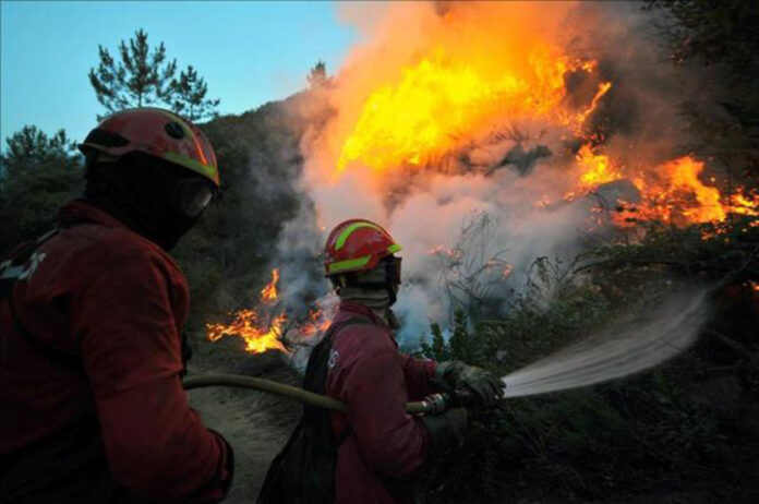 Incendio Un incendio de vegetación