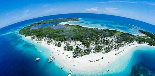 reforzaran-proteccion-morrocoy